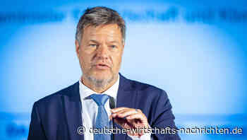 Neuer Habeck-Plan verstört deutsche Export-Wirtschaft