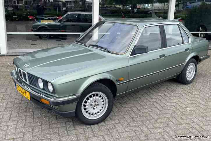BMW 323i - 1986 - Liefhebber Gezocht