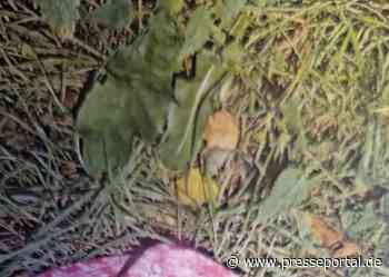 POL-UN: Werne - Zeugenaufruf nach versuchter Vergewaltigung in Werne