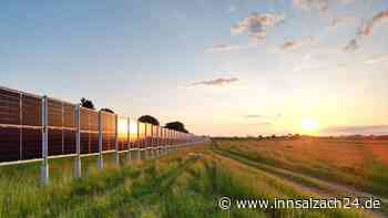 Deutschlands erste senkrechte Agri-PV-Anlage steht in Kirchweidach: Aiwanger bei Einweihung