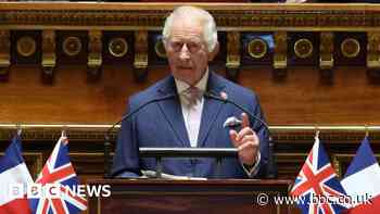King's diplomatic speech to French Senate receives standing ovation