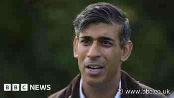 Rishi Sunak denies his net zero plan is wishful thinking