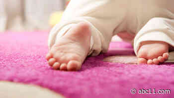 FDA discusses using artificial wombs to help save preemie babies: What to know about the technology