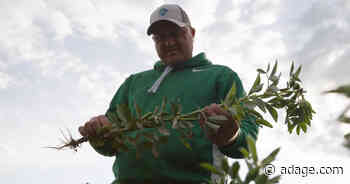 Watch the newest commercials from FanDuel, Deloitte, Beyond Meat and more