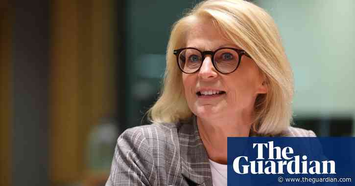 Swedish government faces backlash after slashing climate budget