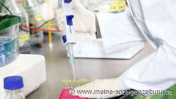 Welt-Alzheimer-Tag: Neues Medikament soll Krankheitsverlauf verzögern