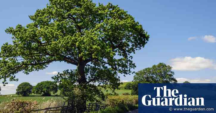 The steps we must take to rescue our footpaths | Letters