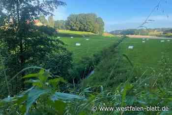 Spenge: Warmenau soll natürlichen Verlauf finden