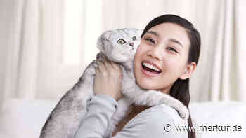 „Pspsps“ – warum Katzen darauf reagieren, kann verschiedene Gründe haben