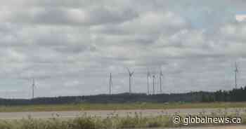 N.B. Conservation Council raises concerns about lack of costing for SMRs in NB Power plan