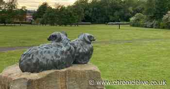 Whitley Bay GP practice could be relocated with current site 'not fit for purpose'