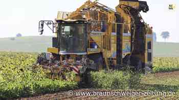 In Schladen startet die Zuckerrüben-Kampagne