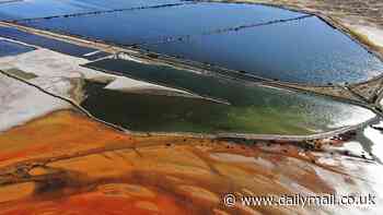 Devastating risks of transitioning to 'green' energy: Mining for electric-powering minerals has left 23 million people exposed to toxic waste, 500,000km of rivers polluted and 16 million acres of farmland ruined