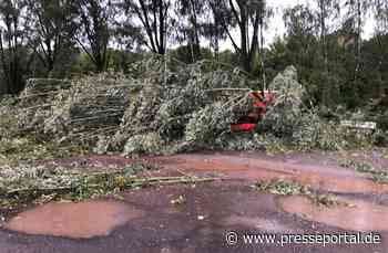 POL-PDTR: Unwetter im Kreis Birkenfeld