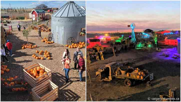 10 things to do in and around Calgary this weekend (Sept. 22-24)