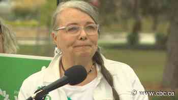 Manitoba Greens pledge to drive down emissions 9% annually to meet 2030 climate targets