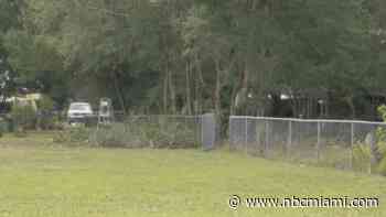 78-year-old arrested after man trimming trees for neighbor was shot and killed in Florida