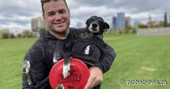 ‘A big honour’: Calgary’s ‘Frisbee Rob’ makes new Guinness World Records book