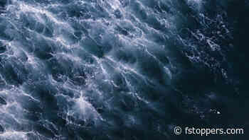 Why Cheap Clients Will Bury You: The False Economy of Anything Over Nothing