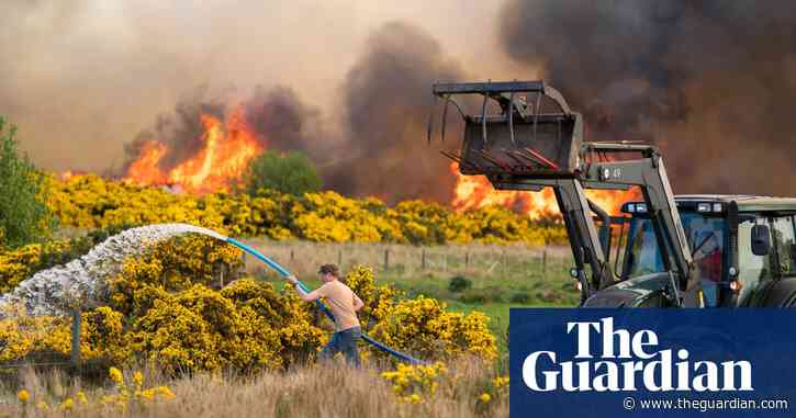 UK firefighters go to Spain for wildfire training as number of blazes surges