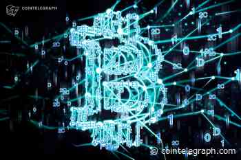 Nic Carter doubles down on theory Bitcoin was invented by NSA