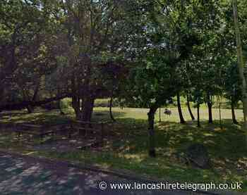 Burnley councillors back 'woodland for every ward' scheme
