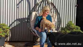 Meet the small rural businesses getting a slice of Australia's multi-billion-dollar pet food market