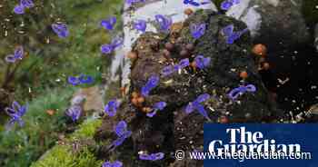 Under the spotlight: Jarman award nominees on tour – in pictures