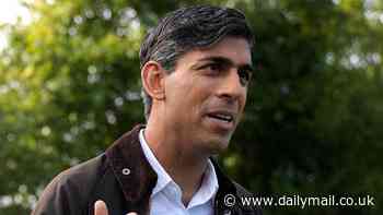 Tory rebels could block Rishi Sunak's plan to delay the ban on the sale of new petrol and diesel cars in parliament