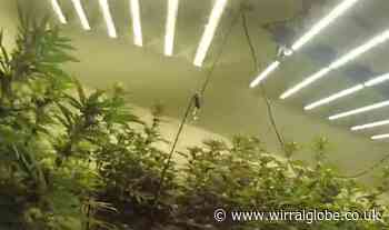 Man arrested after warrants carried out in Wirral and Liverpool