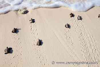 Ocean Outdoor pledges money to marine projects