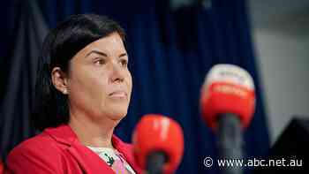 'Senators on a soapbox': NT chief minister slams Middle Arm industrial hub opponents