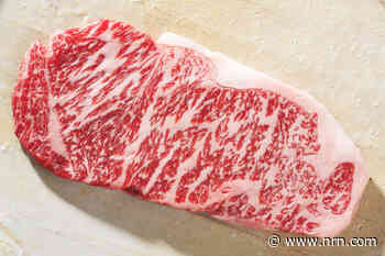 Meet the beef that's giving humans a new future