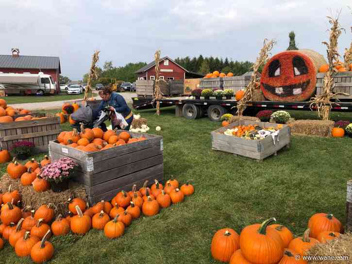 Salomon Farm Park to host Fall Harvest Festival this weekend