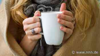 So kalt die Bibliothek, so flauschig der Pelz