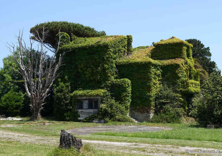 Grün für Alle!
 - Neues Fachportal bei Baunetz Wissen