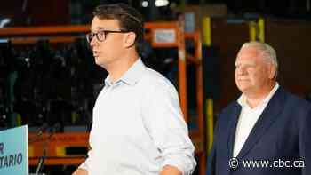 Ontario Labour Minister Monte McNaughton leaving government for private sector