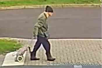 Woman, 74, missing from Bromley: New photos released