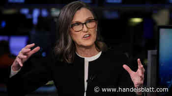 Interview: Tech-Investorin Cathie Wood: „Wir lieben kontroverse Investments“