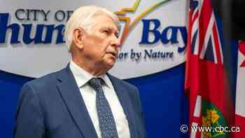 Thunder Bay mayor officially asks province for 'strong mayor' powers, commits to build thousands of homes