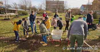 Bamberg: Klimabaum-Park Am Heidelsteig wird in Kürze eröffnet - Schüler gestalteten Info-Tafeln