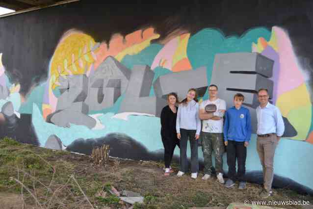 Groot graffitikunstwerk siert brugpijler in Machelen