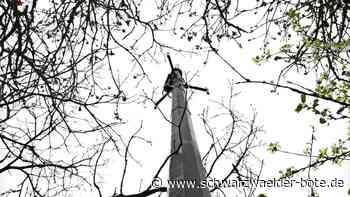 Funkmasten in Haiterbach: Neubau erfordert Waldumwandlung