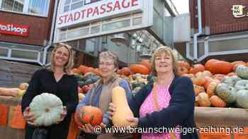 Salzgitter feiert Herbstmarkt - mit viel Musik