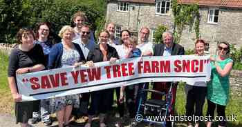 Wildlife trust calls out council over Yew Tree Farm cemetery plan