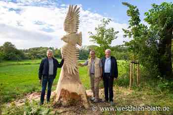 Alte Pappeln werden zu Kunstobjekten im Haxtergrund