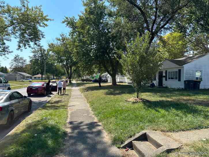 FWPD: Suspect leads police on pursuit, hits mom with car