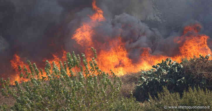 Sicilia in fiamme, il vescovo di Cefalù: “Colpevole inerzia della politica”. Il governatore Schifani: “Attacchi ingiustificabili”