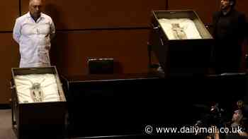 EXCLUSIVE: NASA contractor will reportedly study 1,000-year-old 'alien corpses' presented to Mexico's Congress