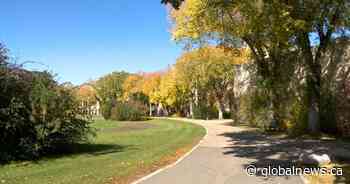 Global News meteorologist gives Saskatoon residents a peek at fall